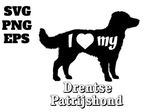 Drentse Patrijshond