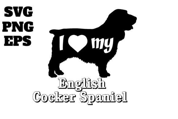 English Cocker Spaniel