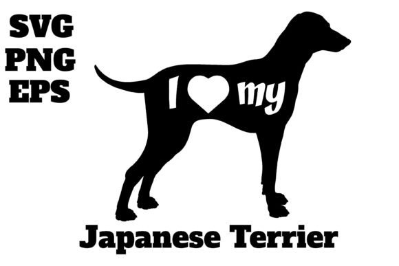 Japanese Terrier
