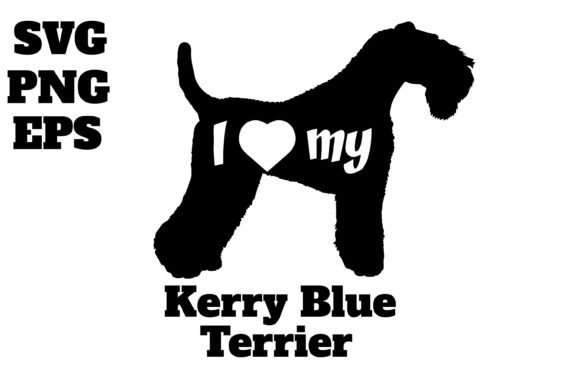 Kerry Blue Terrier
