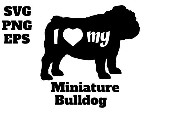 Miniature Bulldog