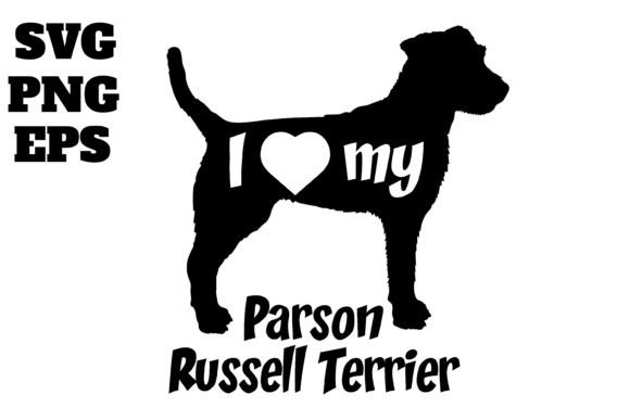 Parson Russell Terrier Dog