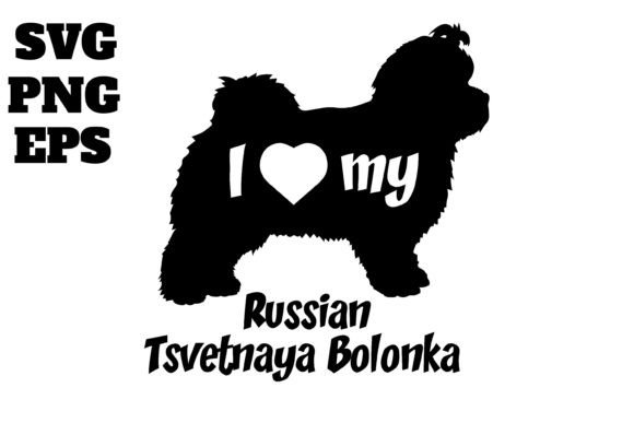 Russian Tsvetnaya Bolonka